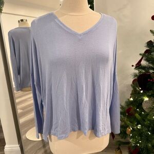 LOFT Soft Blue Long Sleeve V-Neck Top